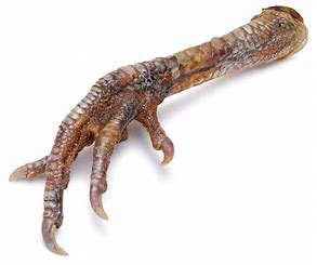 DEHYDRATED TURKEY FEET